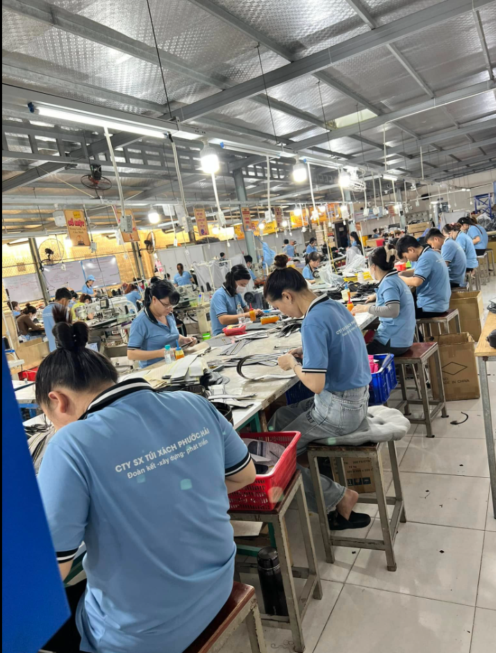 lĩnh vực hoạt động